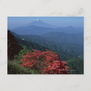 Mt. Fuji Postcard