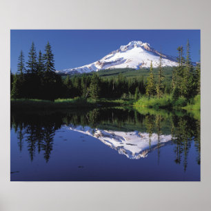 Mt. Hood And A Mirror Lake Poster