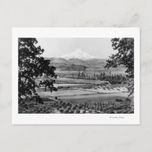 Mt. Hood from Hood River Valley Photograph Postcard