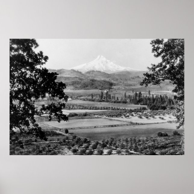 Mt. Hood from Hood River Valley Photograph Poster (Front)