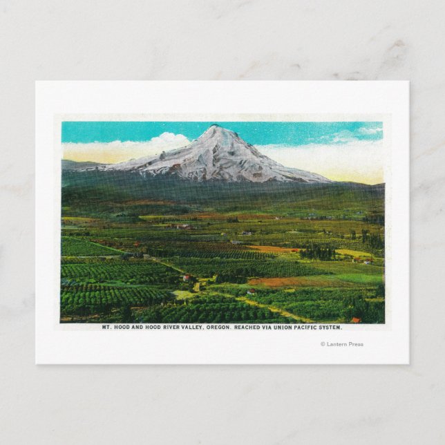 Mt. Hood from Hood River ValleyHood River, OR Postcard (Front)