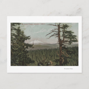 Mt. Hood, Oregon - View of Mountain from Distant Postcard
