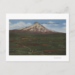 Mt. Hood, Oregon - View of Mountain from Hood 2 Postcard