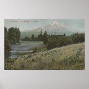 Mt. Hood, Oregon - View of Mountain from Hood 2 Poster