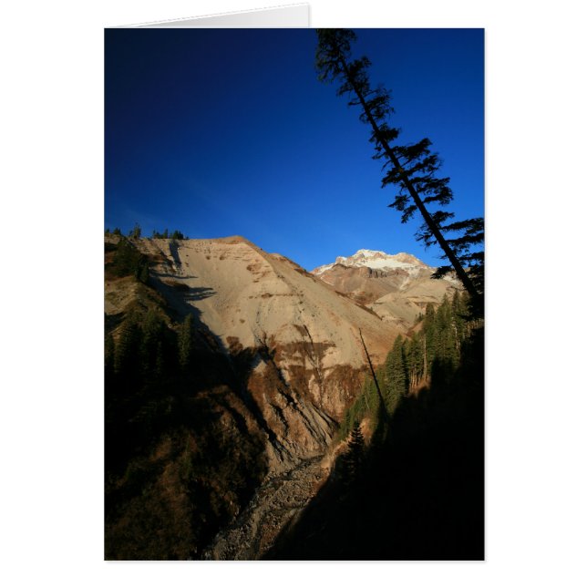 Mt. Hood Through Zig Zag Canyon (Front)