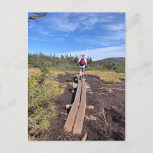 Mt. Jackson and Mt. Pierce Bog Bridge Postcard