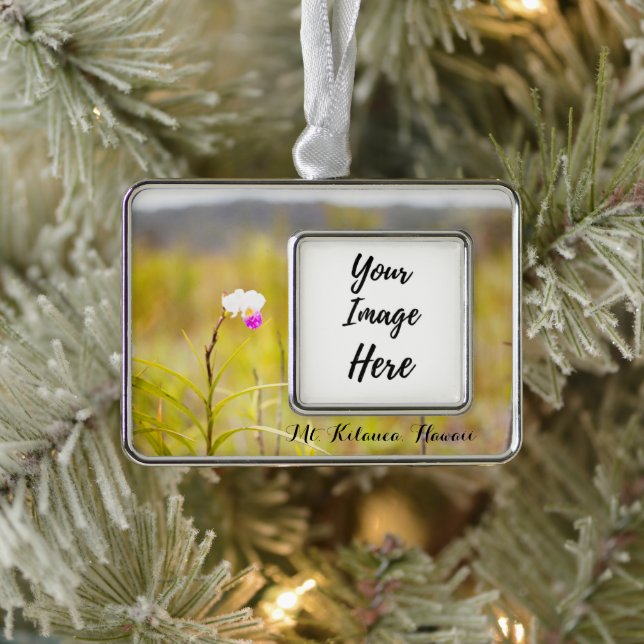 Mt. Kilauea Volcanoes National Park Hawaii Silver Plated Framed Ornament (Tree)