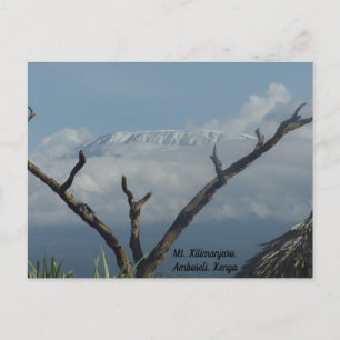 Mt. Kilimanjaro Kenya Postcard
