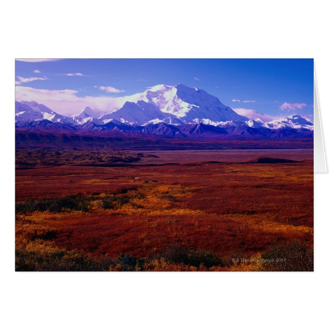 Mt. McKinley (Front Horizontal)