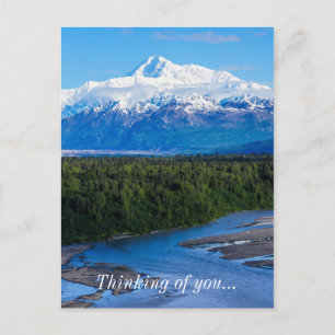 Mt. McKinley Alaska Postcard