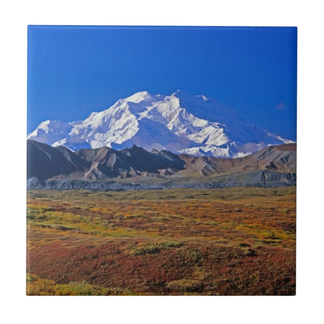 Mt . McKinley Denali National Park , Alaska Ceramic Tile (Front)