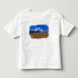 Mt . McKinley Denali National Park , Alaska. Toddler T-Shirt