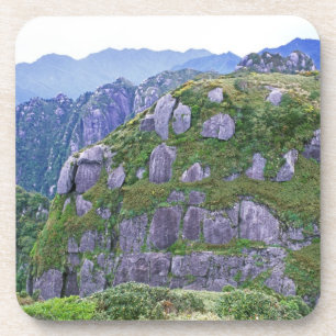 Mt. Nagata, Yakushima, Kagoshima, Japan Coaster