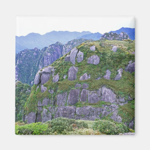 Mt. Nagata, Yakushima, Kagoshima, Japan Magnet