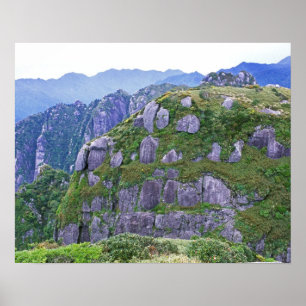 Mt. Nagata, Yakushima, Kagoshima, Japan Poster