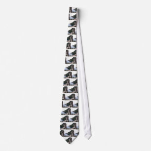Mt. Olympus, Olympos Turkey Mountains Water Park Tie