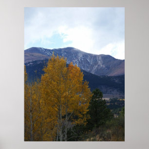 Mt Ouray Poster