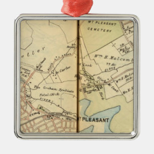 Mt. Pleasant, New York 2 Metal Tree Decoration