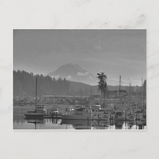 Mt. Rainier from Gig Harbour Postcard (Front)