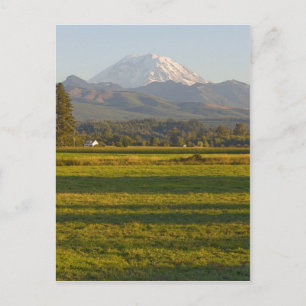 Mt. Rainier in Washington State Postcard