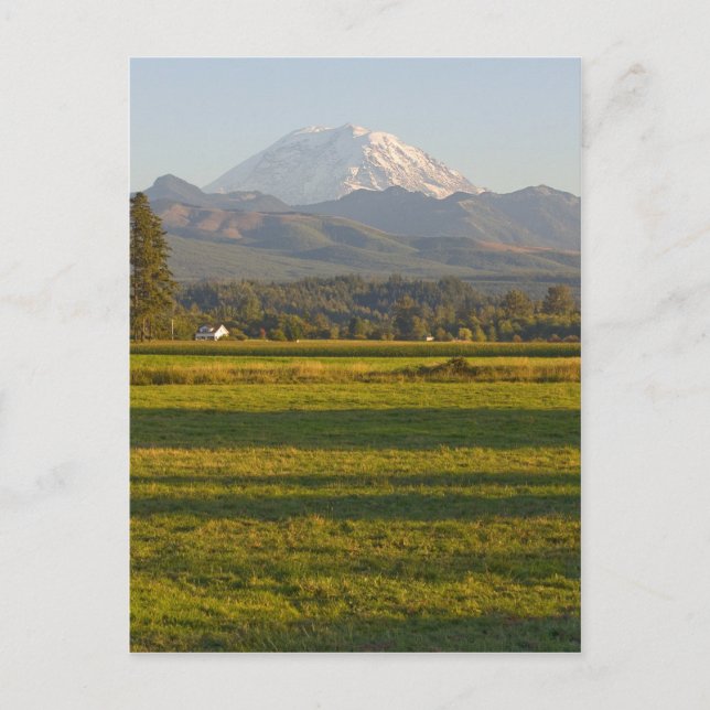 Mt. Rainier in Washington State Postcard (Front)