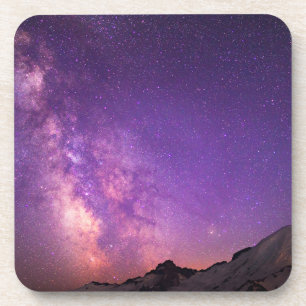 Mt. Rainier National Park Washington State Coaster