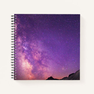 Mt. Rainier National Park | Washington State Notebook