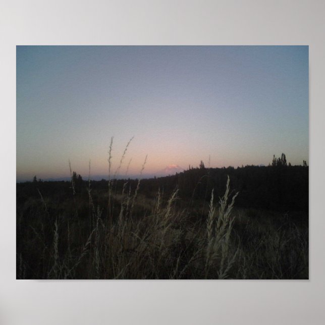 Mt Rainier. Poster (Front)
