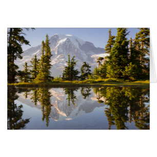 Mt. Rainier reflected in a tarn near Plummer Peak