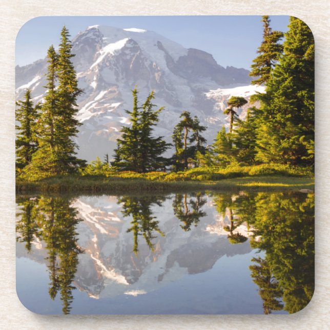 Mt. Rainier reflected in a tarn near Plummer Peak Coaster (Front)
