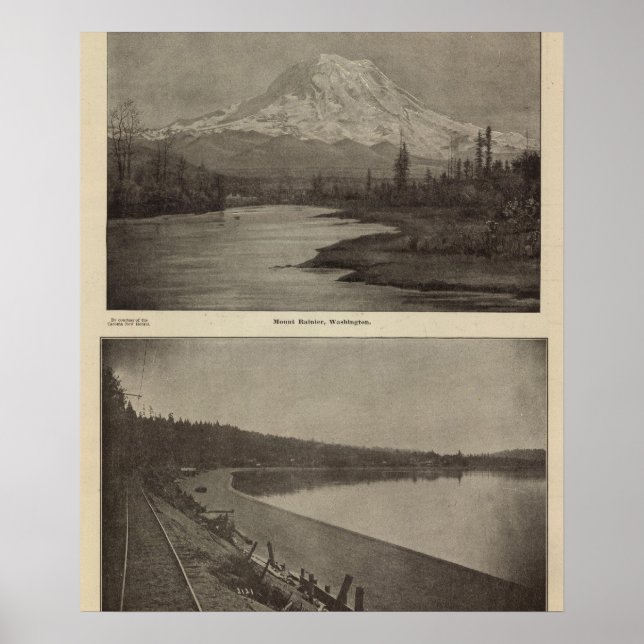 Mt Rainier Steilacoom Beach Poster (Front)