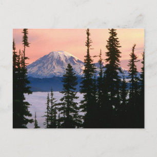 Mt. Ranier, Washington Postcard