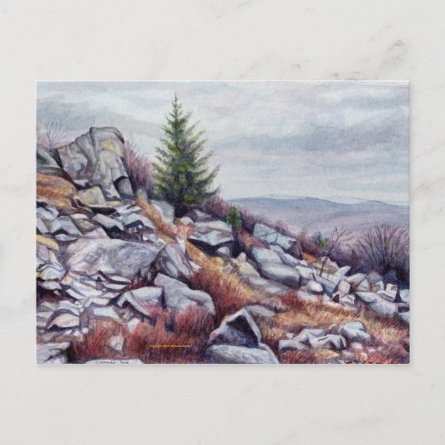 Mt. Rogers Postcard (Front)