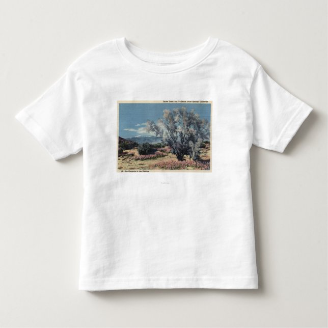 Mt. San Gorgonio View, Smoke Trees Toddler T-Shirt (Front)