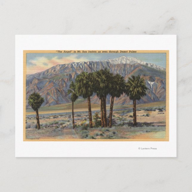 Mt. San Jacinto Angel View through Palm Trees Postcard (Front)
