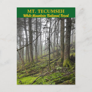 Mt. Tecumseh White Mountains Postcard