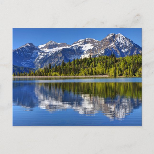 Mt. Timpanogos Reflected In Silver Lake Flat Postcard (Front)