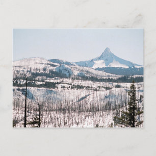 Mt. Washington from Santiam Pass Postcard