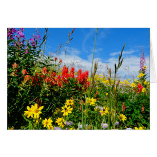 Mt. Wildflowers