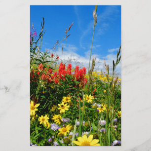 Mt. Wildflowers