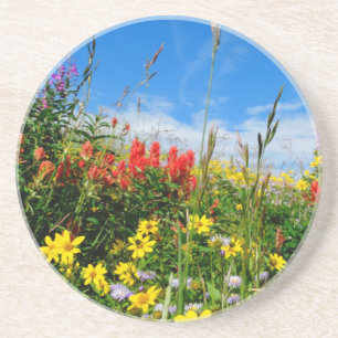 Mt. Wildflowers Coaster