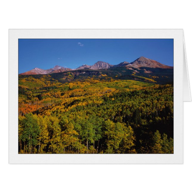 "Mt. Wilson - Aspen Tree Valley " (Front Horizontal)