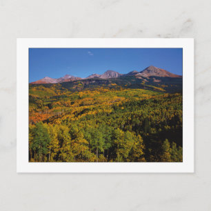 "Mt. Wilson - Aspen Tree Valley " Postcard