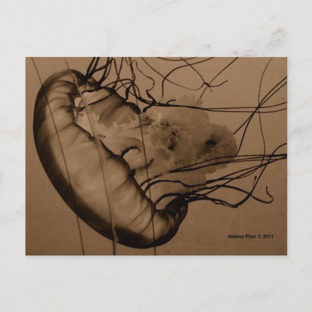 MTV 3 POSTCARD (Front)