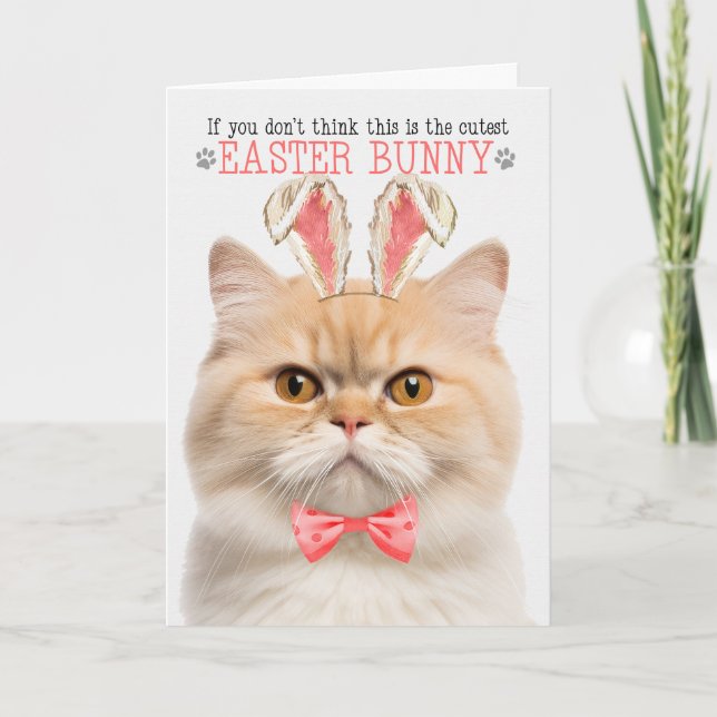 Muchnkin Cat in Bunny Ears for Easter Holiday Card (Front)