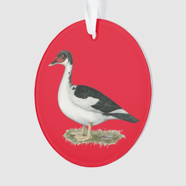 Mucovy Black Pied Duck Ornament (Front)
