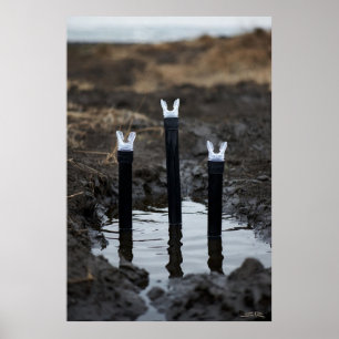 Mud Diving matte poster