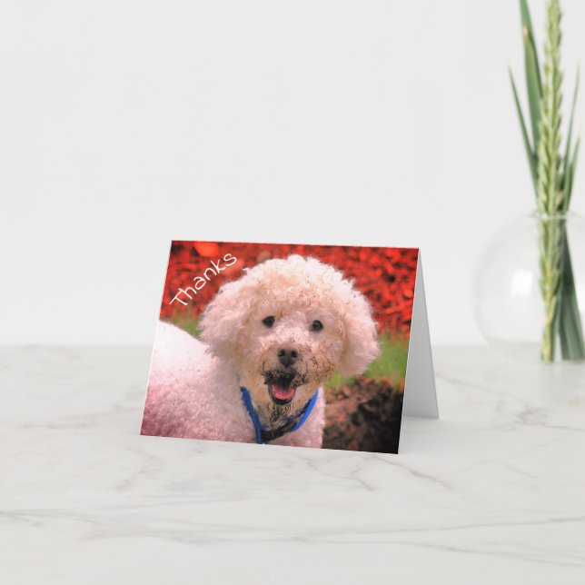Mud Faced Poodle Customisable Thank You Card (Front)