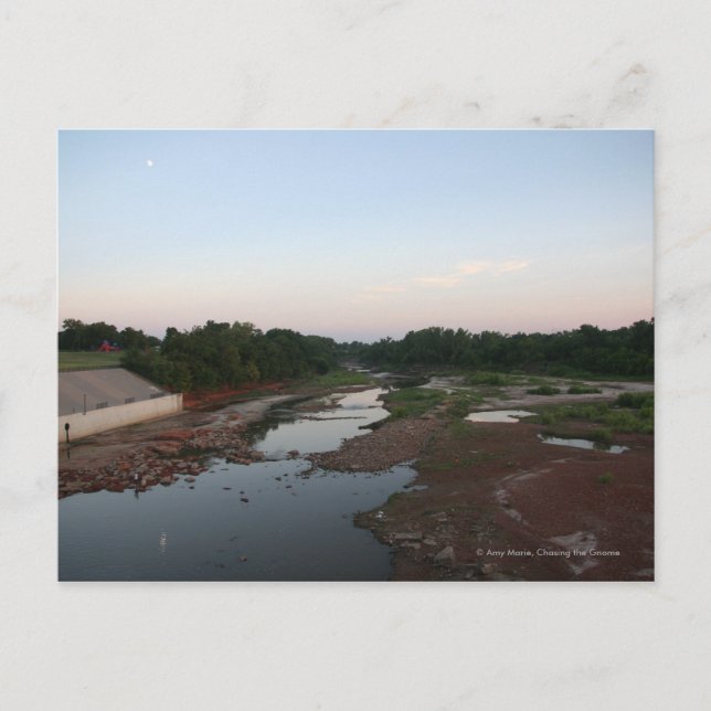 Mud Flats Postcard (Front)