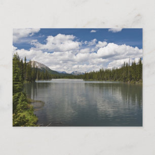 Mud Lake Postcard